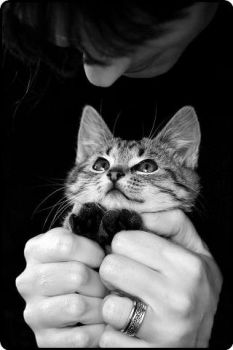 Ci� che il cuore vede