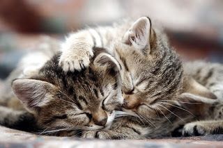 Ode � ta minette