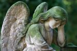 Il cuore piange