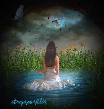 Nuova luce