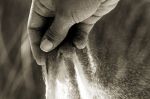 Quel che � stato  