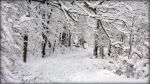 Qui � inverno ormai