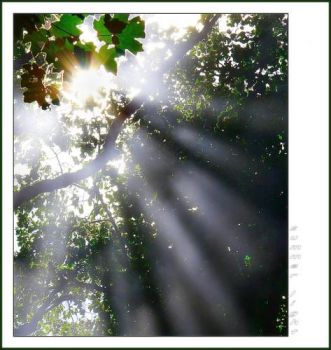 Voglia di luce