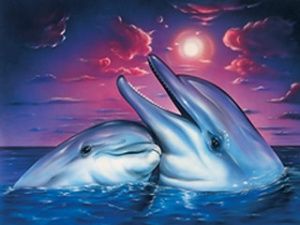 Come due delfini
