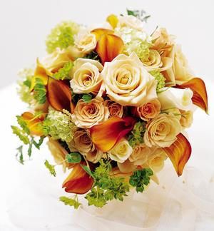 Collante d�amore