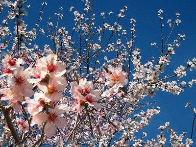 Una nuova primavera