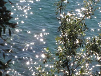 Luce e penombra