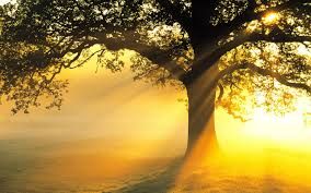 Ti sorride il sole