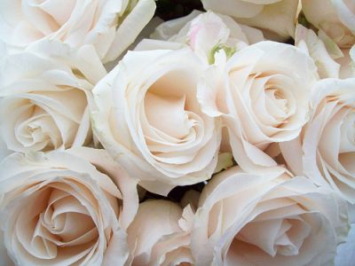Un eterno abbraccio d�amore