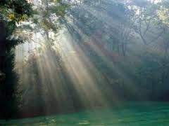 Lourdes