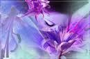 L�... dove non c'� amore  