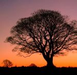 Dove � poesia  