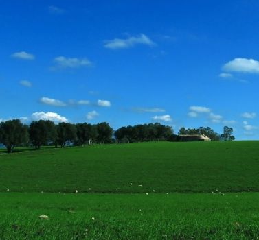 Sospiri di resa