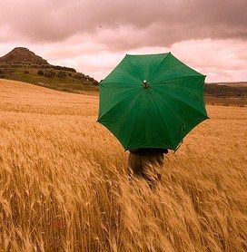 Ritornami sole... tra i campi di grano  