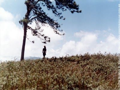 Amico vento