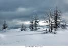 Coltre di candore