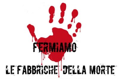 Morte bianca
