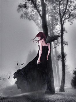 Tempesta d'amore