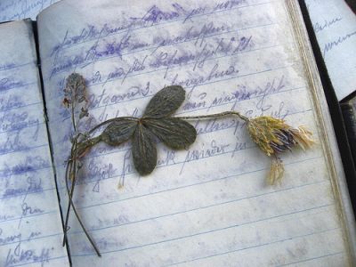 Verseggiar in rime di poesia