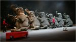 Il circo degli animali