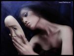 Guscio di tartaruga
