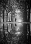 M�abitano i silenzi