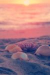 Il mare d�autunno
