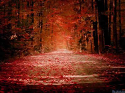 Foglie d�autunno