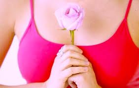 La rosa pi� bella