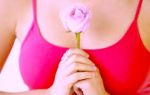 La rosa pi� bella