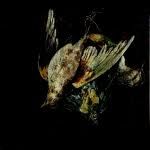 L'Uccello