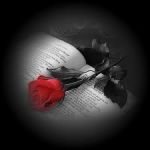 Tu, sei poesia  