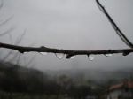 Cercandoti