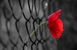 Questo e�