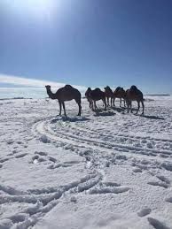 Forse � freddo all�equatore