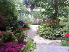 Il mio giardino