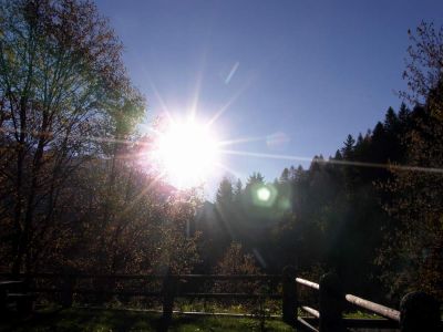 Alba  