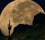 Autoritratto