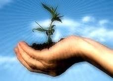 Fertilit� d'amore