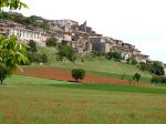 Campanili e papaveri