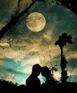 Luna insolente