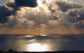 Scricciolo di sole