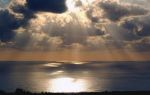 Scricciolo di sole