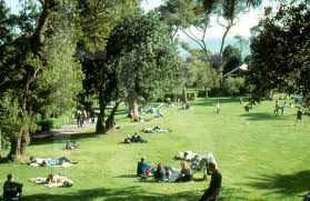 I giganti del parco