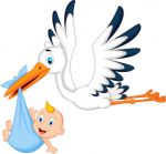 Arriva un fratellino