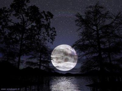 Un Giorno di Notte  