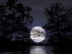 Un Giorno di Notte  