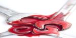 La Repubblica del Sangue  