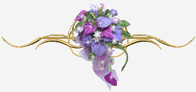 Manto celestiale