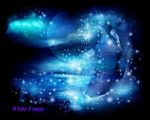 Spremuta di stelle